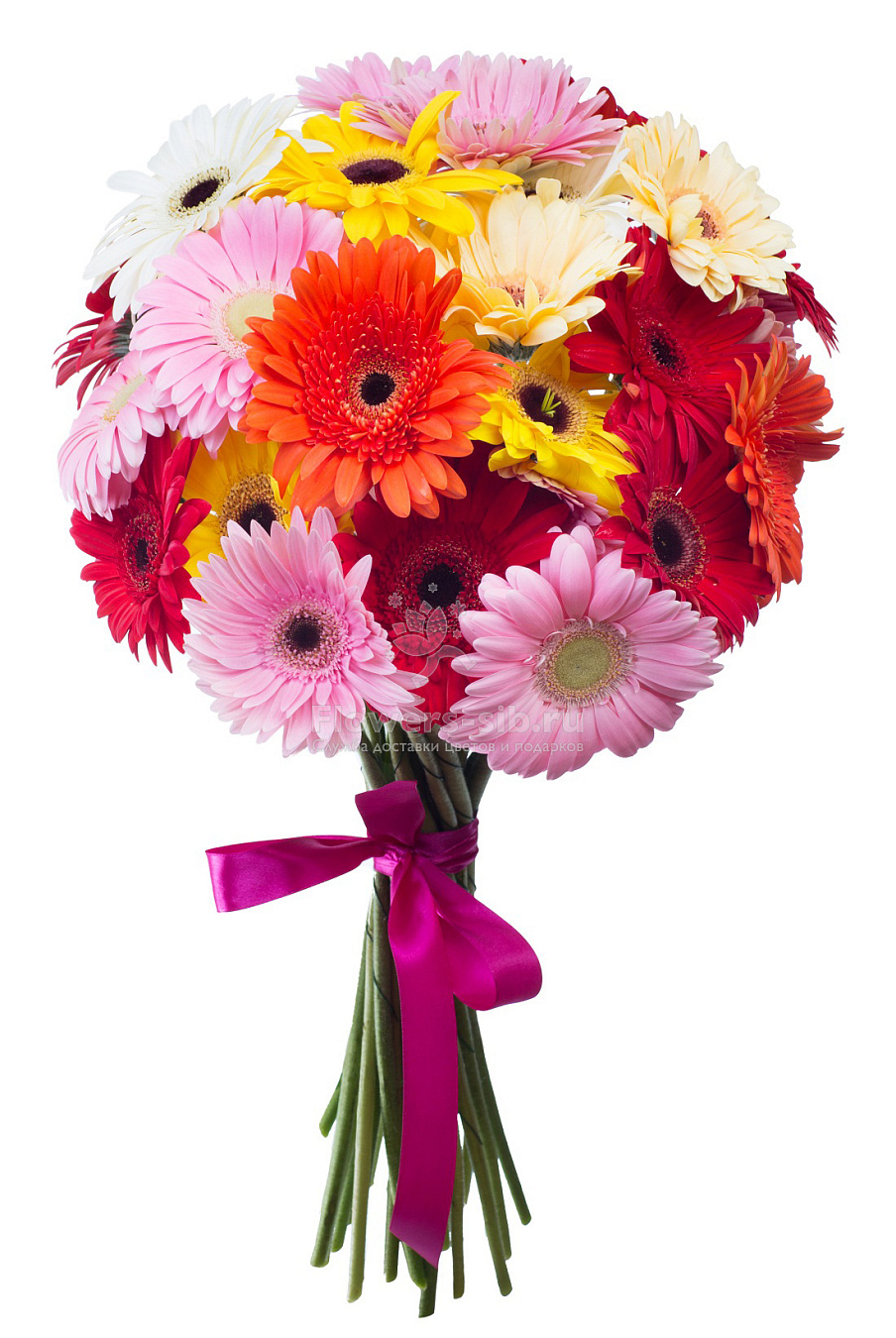 21 Gerberas